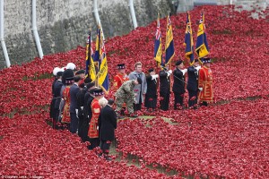 armistice day: final tower of london poppy planted.