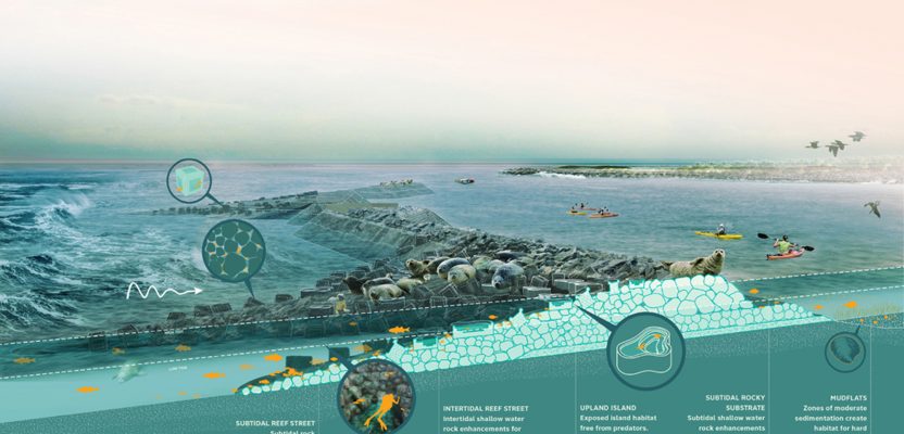 scapes "oyster-tecture" project wins 2014 fuller challenge.